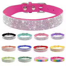 Colliers en cuir brillants multicouleurs